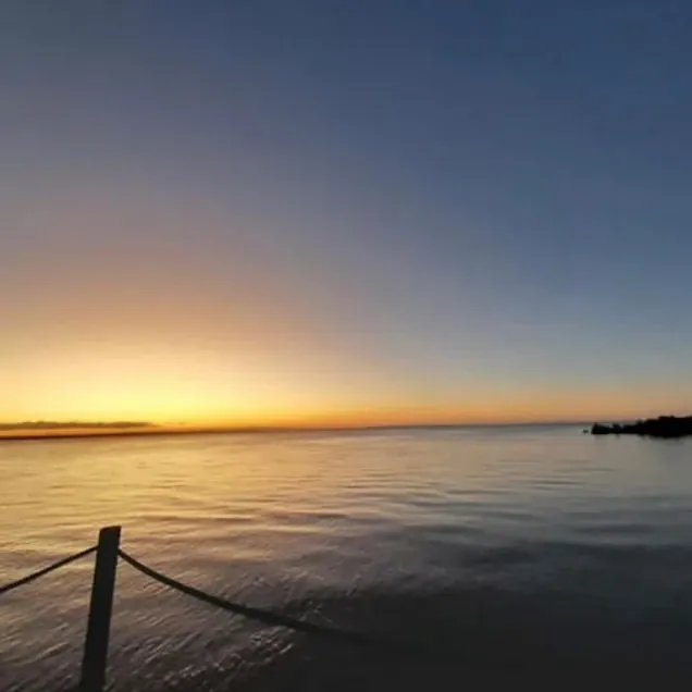 Testimonial 4: Thierry Gonnet